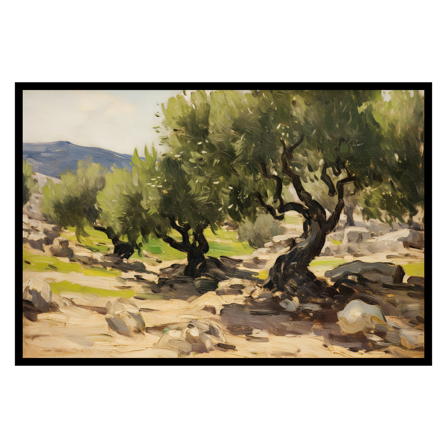 Olive Trees