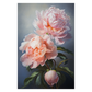 Peonie