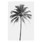 Product Draft