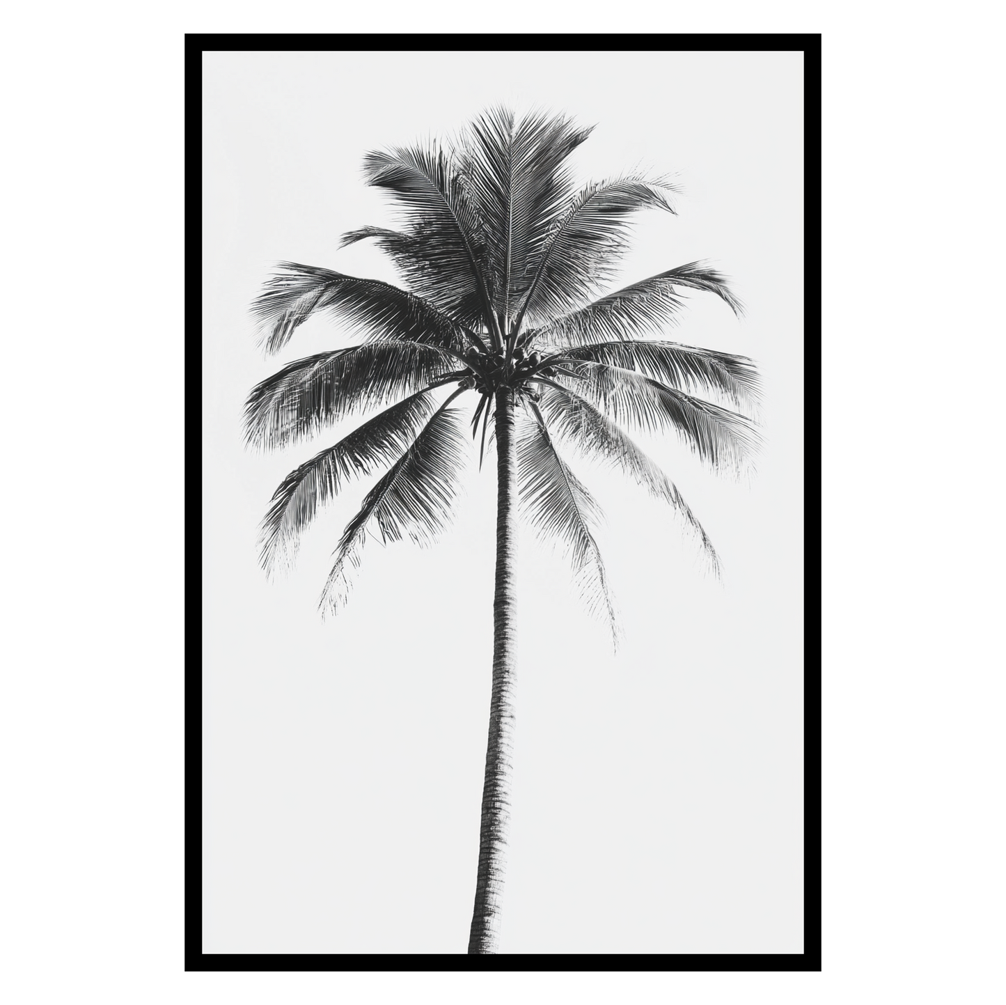 Product Draft