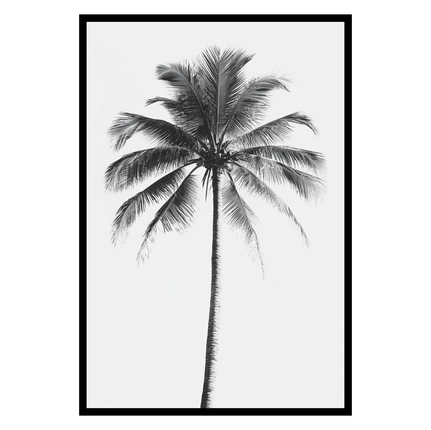 Product Draft