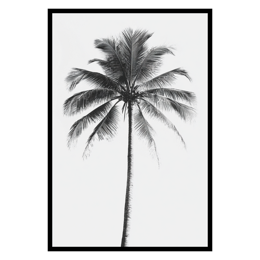 Product Draft