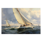 Regatta