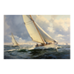 Regatta