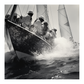 Regatta