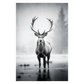 Reindeer