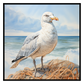 Seagull