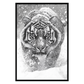 Siberian Tiger In Snow