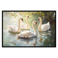 Swan