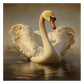 Swan