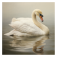 Swan