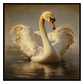 Swan
