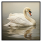 Swan