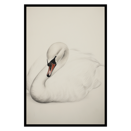 Swan