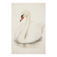 Swan