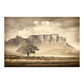 Table Mountain