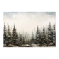 Trees in Winter