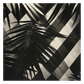 Tropical Pattern