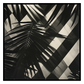 Tropical Pattern