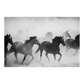 Wild Horses