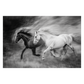 Wild Horses Running