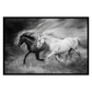 Wild Horses Running