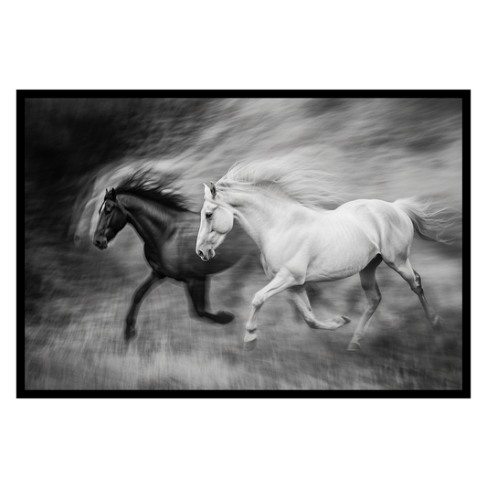 Wild Horses Running