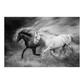 Wild Horses Running