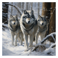 Wolves