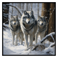 Wolves