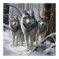 Wolves