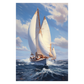 Yacht Race