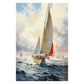 Yacht Race
