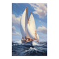 Yacht Race