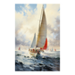 Yacht Race
